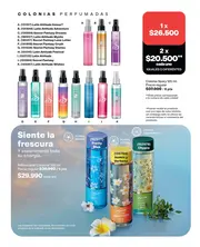 Catalogo Avon Campa&ntilde;a 6 2026 Colombia - p&aacute;gina 97