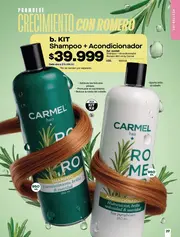 Catalogo Carmel Campaña 4 2026 - página 218