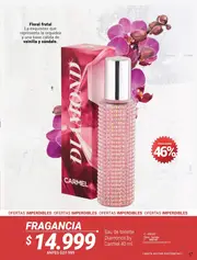 Catalogo Carmel Campaña 5 2026 - página 256