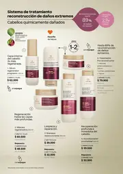 Revista Natura Ciclo 5 2026 Colombia - página 146