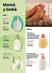Revista Natura Ciclo 5 2026 Colombia - página 164