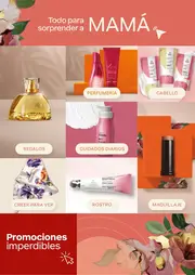 Revista Natura Ciclo 6 2026 Colombia - página 5