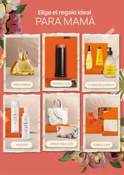 Revista Natura Ciclo 6 2026 Colombia - página 7