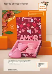 Revista Natura Ciclo 6 2026 Colombia - página 30