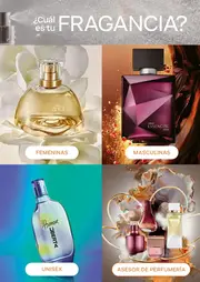 Revista Natura Ciclo 6 2026 Colombia - página 51