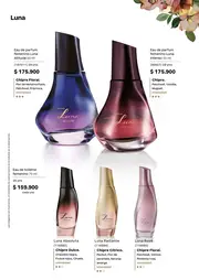 Revista Natura Ciclo 6 2026 Colombia - página 59