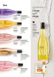 Revista Natura Ciclo 6 2026 Colombia - página 63