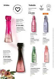 Revista Natura Ciclo 6 2026 Colombia - página 66