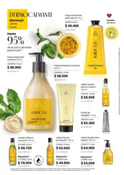 Revista Natura Ciclo 6 2026 Colombia - página 126