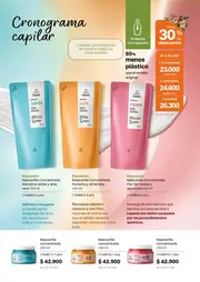 Revista Natura Ciclo 6 2026 Colombia - página 161