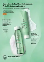 Revista Natura Ciclo 6 2026 Colombia - página 163