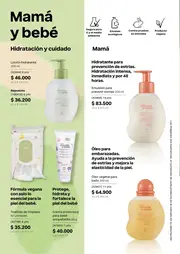 Revista Natura Ciclo 6 2026 Colombia - página 166