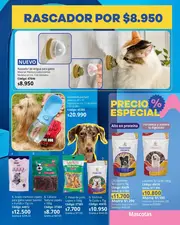 Catálogo de la Campaña 5 Novaventa 2026 Colombia - página 217