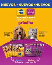 Catálogo de la Campaña 5 Novaventa 2026 Colombia - página 218