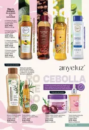 Catálogo Más Prestigio Ciclo 6 Novaventa 2026 Colombia - página 53