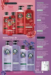 Catalogo Novaventa M&aacute;s Prestigio Ciclo 7 2026 Colombia - p&aacute;gina 7