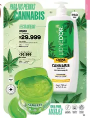 Catalogo Pacifika Campaña 5 2026 Colombia - página 165