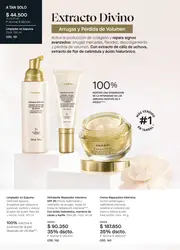 Catalogo Yanbal Campana 4 2026 Colombia - p&aacute;gina 80