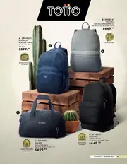 Catalogo Andrea Bolsas y Accesorios: Colecci&oacute;n 2026 - p&aacute;gina 49