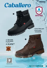 Catalogo Andrea Botas de Lluvia 2026 Mexico - p&aacute;gina 15