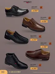 Catalogo Andrea Fiestas y Celebraciones: Tendencias 2026 - p&aacute;gina 30