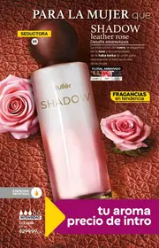 Catalogo Fuller Campa&ntilde;a 1 2026 Mexico - p&aacute;gina 14