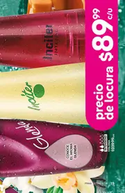 Catalogo Fuller Campa&ntilde;a 1 2026 Mexico - p&aacute;gina 21