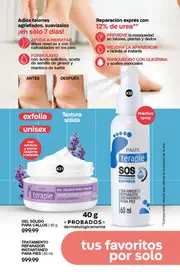 Catalogo Fuller Campa&ntilde;a 1 2026 Mexico - p&aacute;gina 126