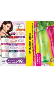 Catalogo Fuller Campa&ntilde;a 1 2026 Mexico - p&aacute;gina 216