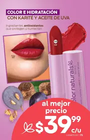 Catalogo Fuller Campa&ntilde;a 22 2026 Mexico - p&aacute;gina 77