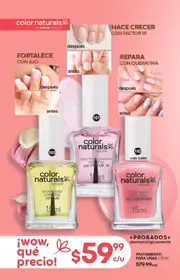 Catalogo Fuller Campa&ntilde;a 22 2026 Mexico - p&aacute;gina 86