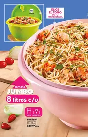 Catalogo Fuller Campa&ntilde;a 24 2026 Mexico - p&aacute;gina 48