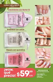 Catalogo Fuller Campa&ntilde;a 24 2026 Mexico - p&aacute;gina 152