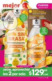 Catalogo Fuller Campa&ntilde;a 25 2026 Mexico - p&aacute;gina 9