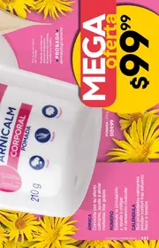 Catalogo Fuller Campa&ntilde;a 25 2026 Mexico - p&aacute;gina 141