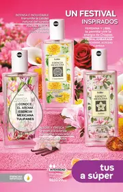 Catalogo Fuller Campa&ntilde;a 25 2026 Mexico - p&aacute;gina 178