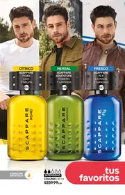 Catalogo Fuller Campa&ntilde;a 25 2026 Mexico - p&aacute;gina 182