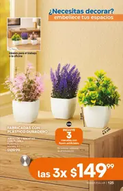 Catalogo Fuller Campa&ntilde;a 26 2026 Mexico - p&aacute;gina 125