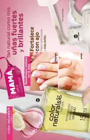 Catalogo Fuller Campa&ntilde;a 26 2026 Mexico - p&aacute;gina 138